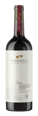 Summerhill Marechal Foch